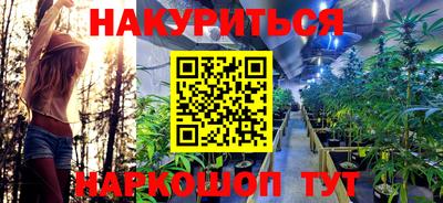кокс Гай