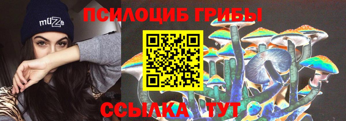 Михайловка  Галлюциногенные грибы Cubensis  Вход с VPN  Галлюциногенные грибы MAGIC MUSHROOMS 