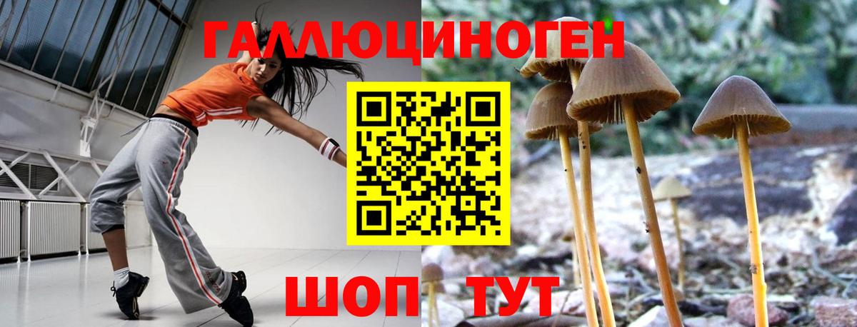 Галлюциногенные грибы мухоморы Михайловка